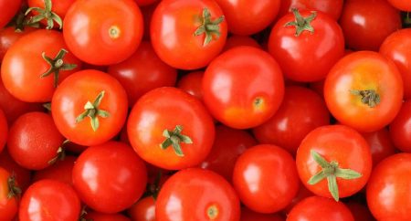 The best varieties of tomatoes for 2017