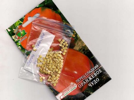 Preparing pepper seeds for sowing