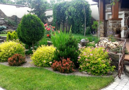 Landscaping of the suburban area of ​​10 acres with their own hands, photo