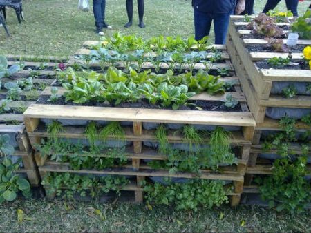 How to make beds in the country with your own hands, photo