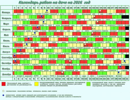 Lunarni kalendar za sadnju sjemena za sadnice u 2016. godini