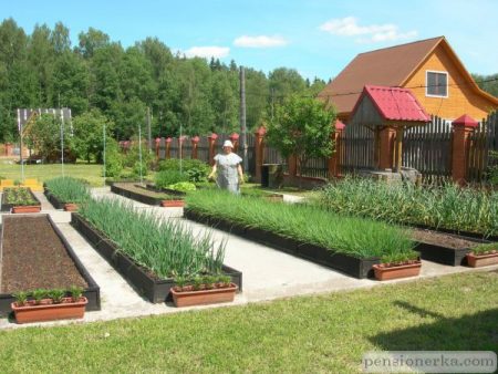 manicured beds in the country