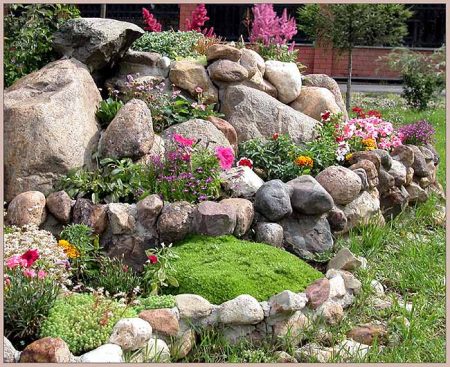 what to choose for an alpine hill