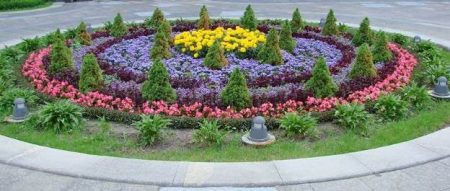 Beautiful flower beds from perennials with their own hands in the country, photo
