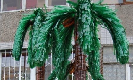 Palm