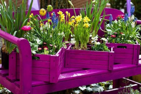 Colored wooden crates