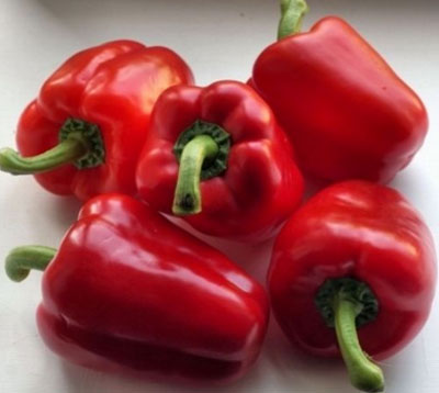 Pepper