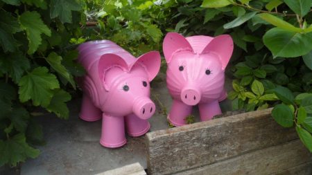 Piglets