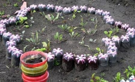 Flowerbed of plastic bottles