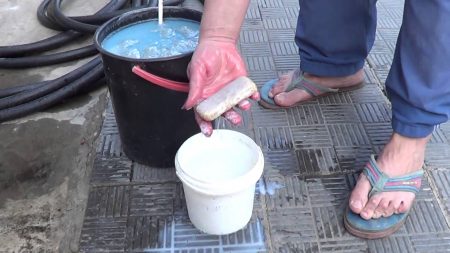 solutions for spraying the garden