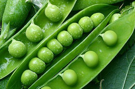 pea seeds