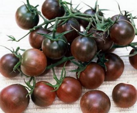 Outdoor Cherry Tomatoes, undersized