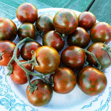 Outdoor Cherry Tomatoes