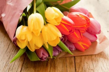 How to keep tulips fresh in the fridge