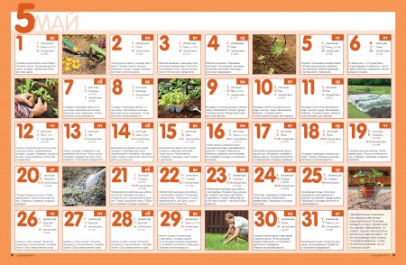 Planting cucumbers for seedlings in 2016 according to the lunar calendar