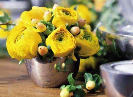 Ranunculus: planting and care in the open ground, photo