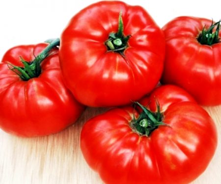 bear paw tomato reviews