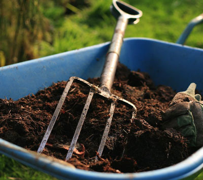 What fertilizers to apply when planting a tomato