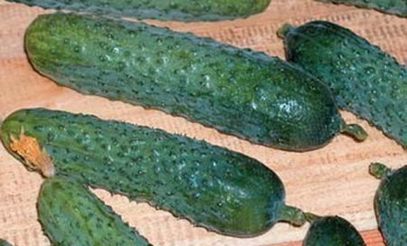 Variety Pasalimo F1