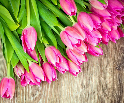 Kada iskopati tulipane i kako čuvati do sadnje u jesen