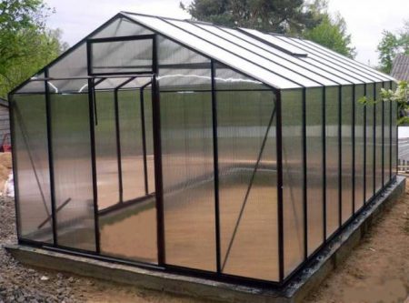 Greenhouse - house