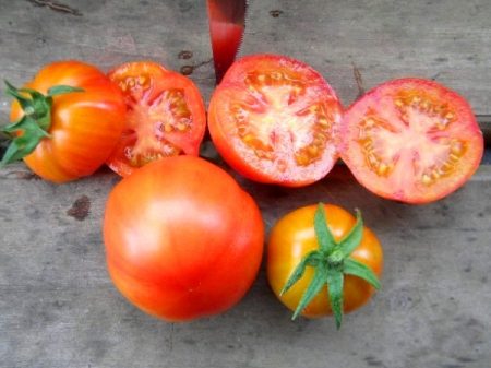 tomato sanka ripe