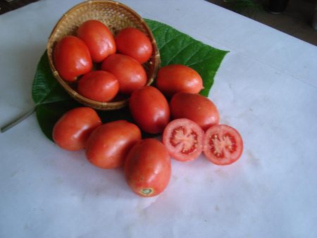 tomato shuttle description