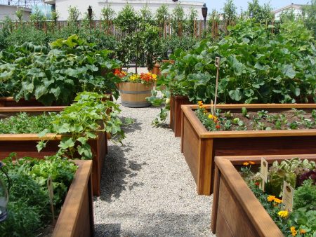 A beautiful garden with your own hands: how to make beautiful beds, photo