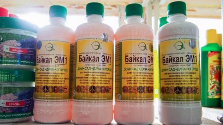 Baikal em fertilizer 1