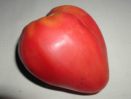 Tomato seeds: the most productive varieties for 2017