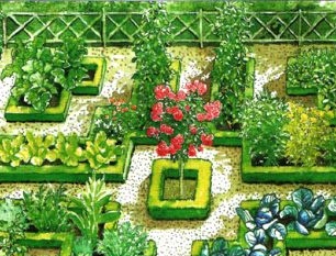 A beautiful garden with your own hands: how to make beautiful beds, photo