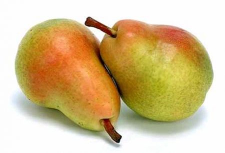 Pear Just Maria: description, photo, reviews