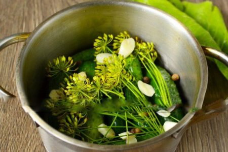 Salted cucumbers, a quick recipe in a pan