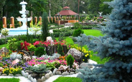 Flowers for alpine hills perennial: photo with names