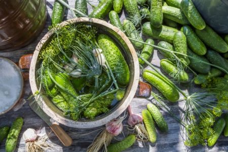 Salted cucumbers, a quick recipe in a pan