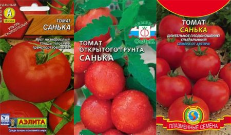 tomat-nazvao sanka-urozhanojst-otzyvy