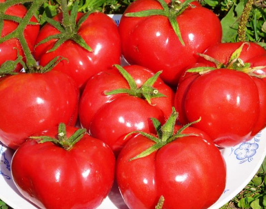 Collector tomato seeds for 2017