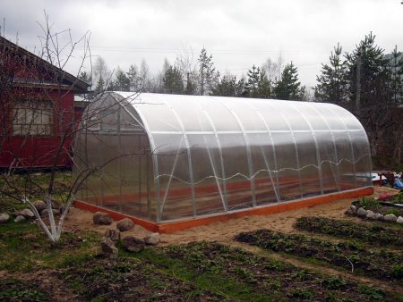Polycarbonate Greenhouse Care