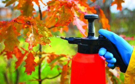 Tillage in the fall from diseases and pests