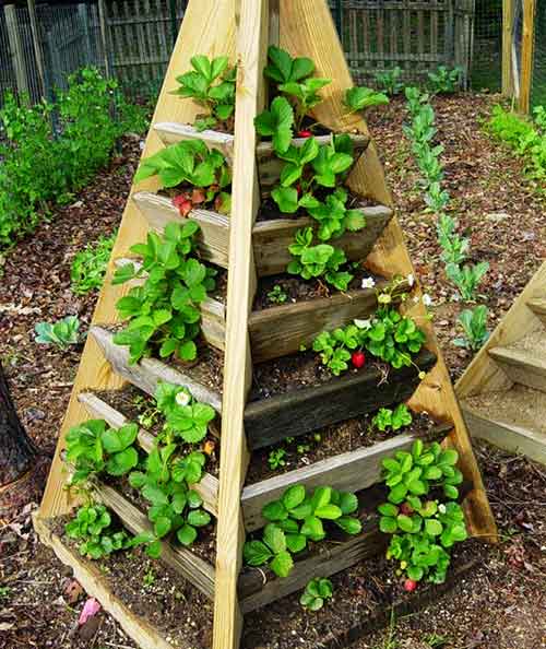 High beds