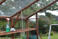 Processing greenhouses in the fall from pests and diseases