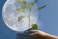 Lunarni kalendar vrtlara i vrtlara za ožujak 2017. godine