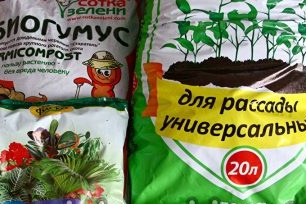 The composition of the soil for growing seedlings