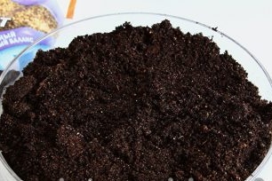 soil preparation for seedlings