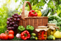 Sowing calendar for 2017 for the Moscow region: download the table