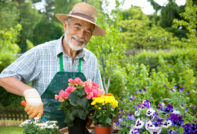 The lunar calendar of the gardener and gardener for April 2017