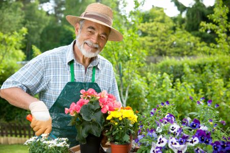 The lunar calendar of the gardener and gardener for April 2017