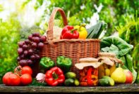 Planting calendar for 2017 for gardeners