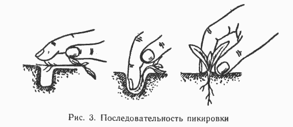picking pattern