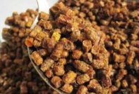 Bee pollen: benefits and harms, how to take